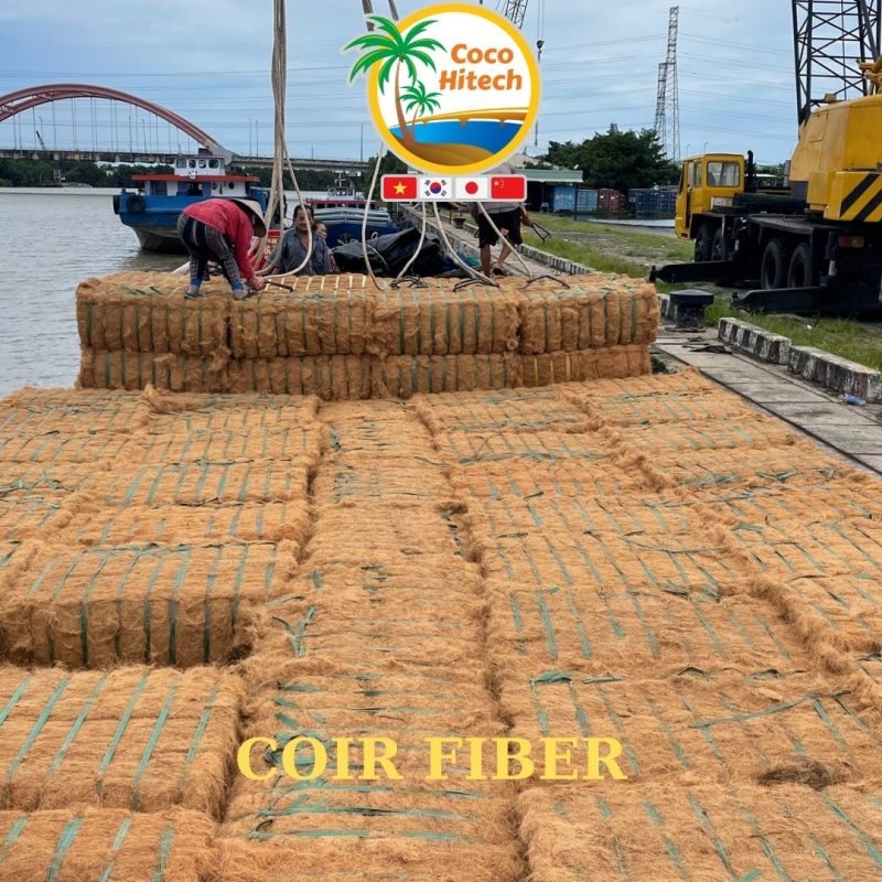COCONUT FIBER (1)