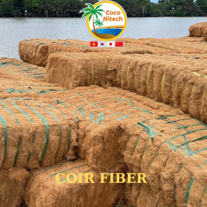 COCONUT FIBER (6)
