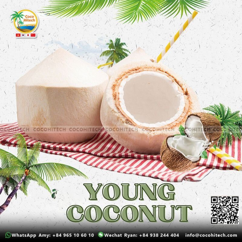 YOUNG COCONUT