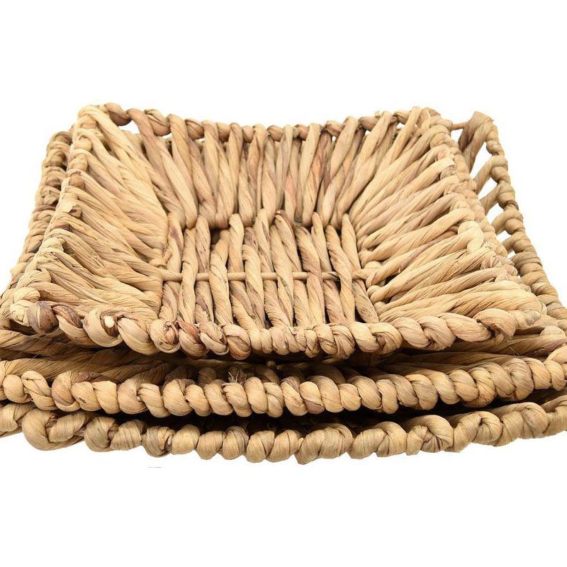 Lưu trữ Water Hyacinth Fiber COCO HITECH