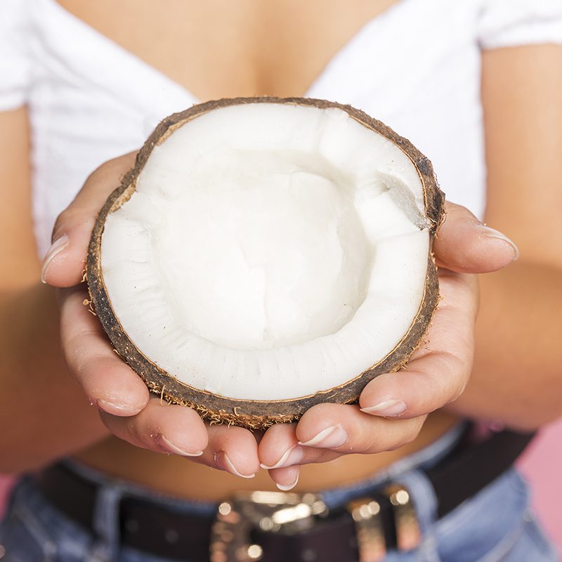 Coconut Husk Chips COCO HITECH