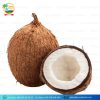SEMI HUSK COCONUT