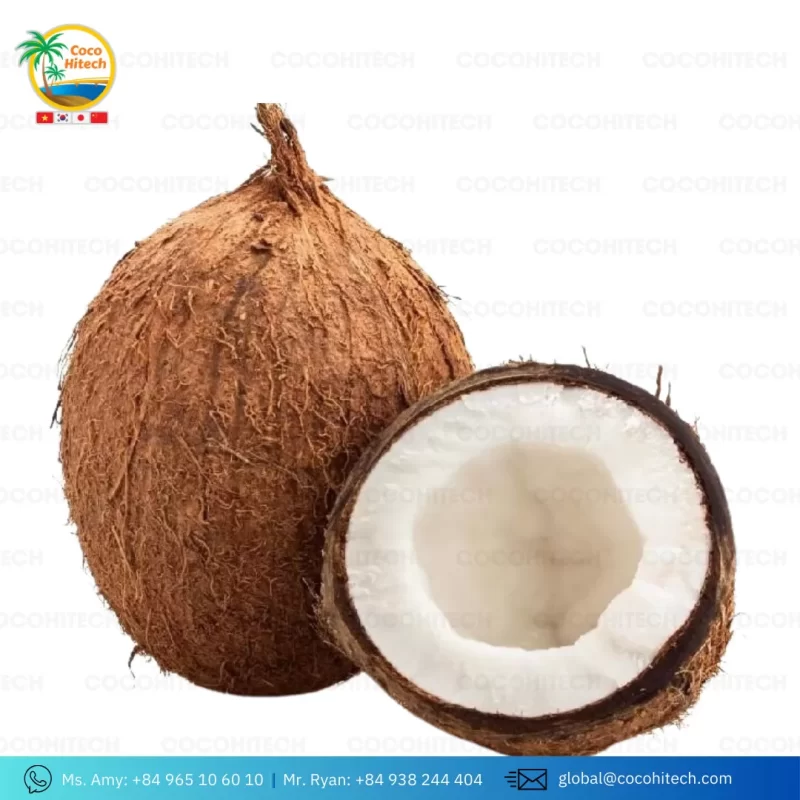 SEMI HUSK COCONUT