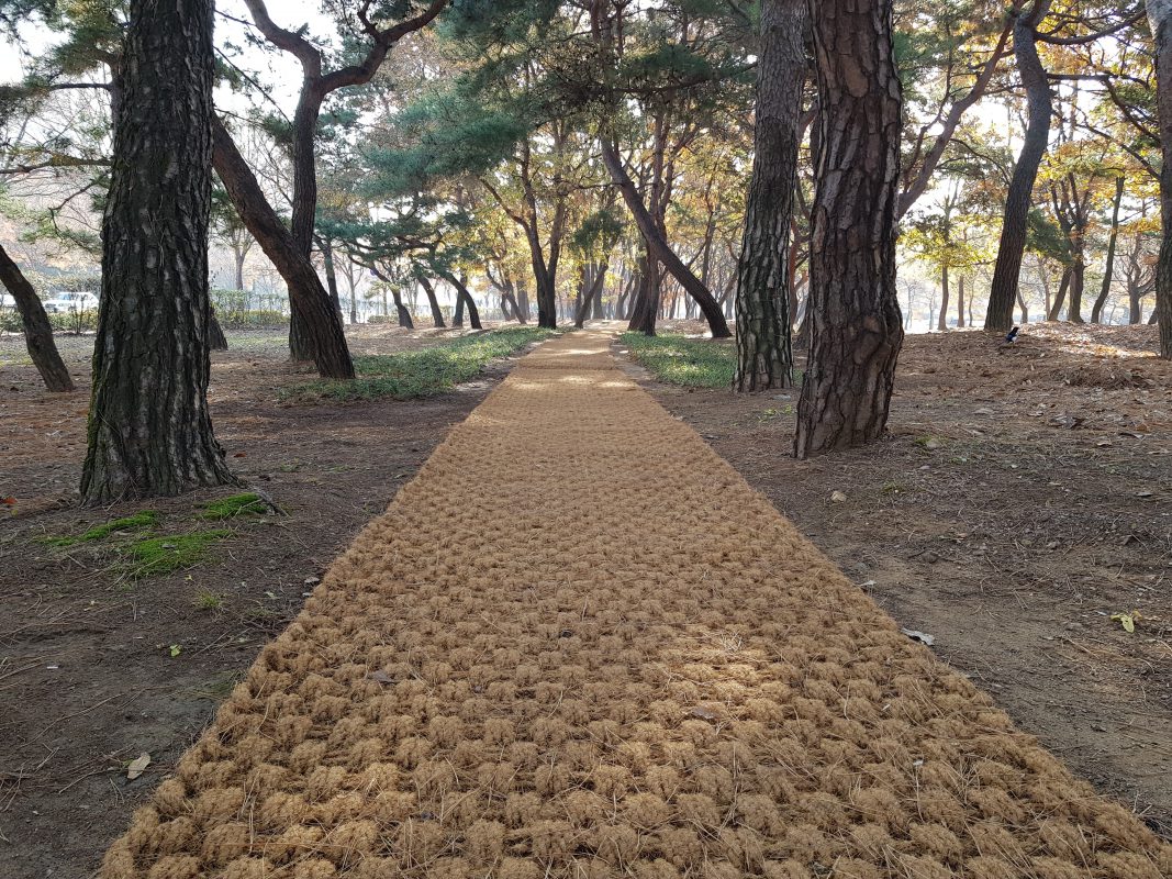 stop soil erosion by the use of coir mat