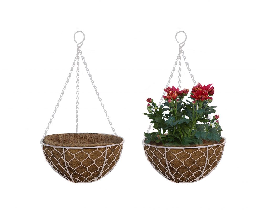 Coconut Plant Liner, Why are they beloved? COCO HITECH