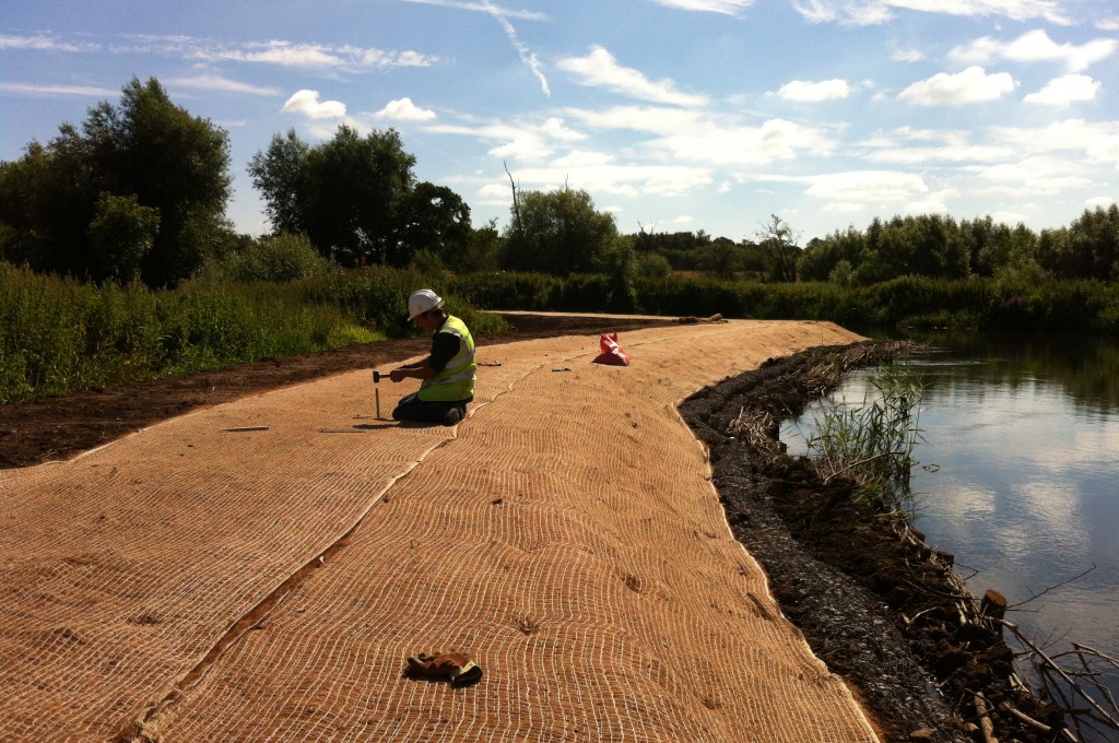 Vietnam soil erosion control coir mat for export