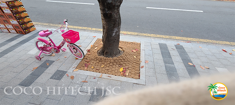 Do trees need clothes ?