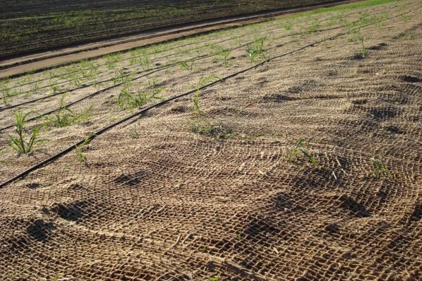 Coir blanket for erosion control in Australia