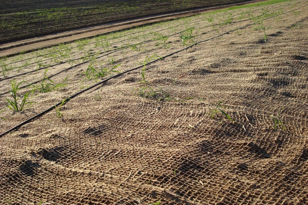 Coir blanket for erosion control in Australia