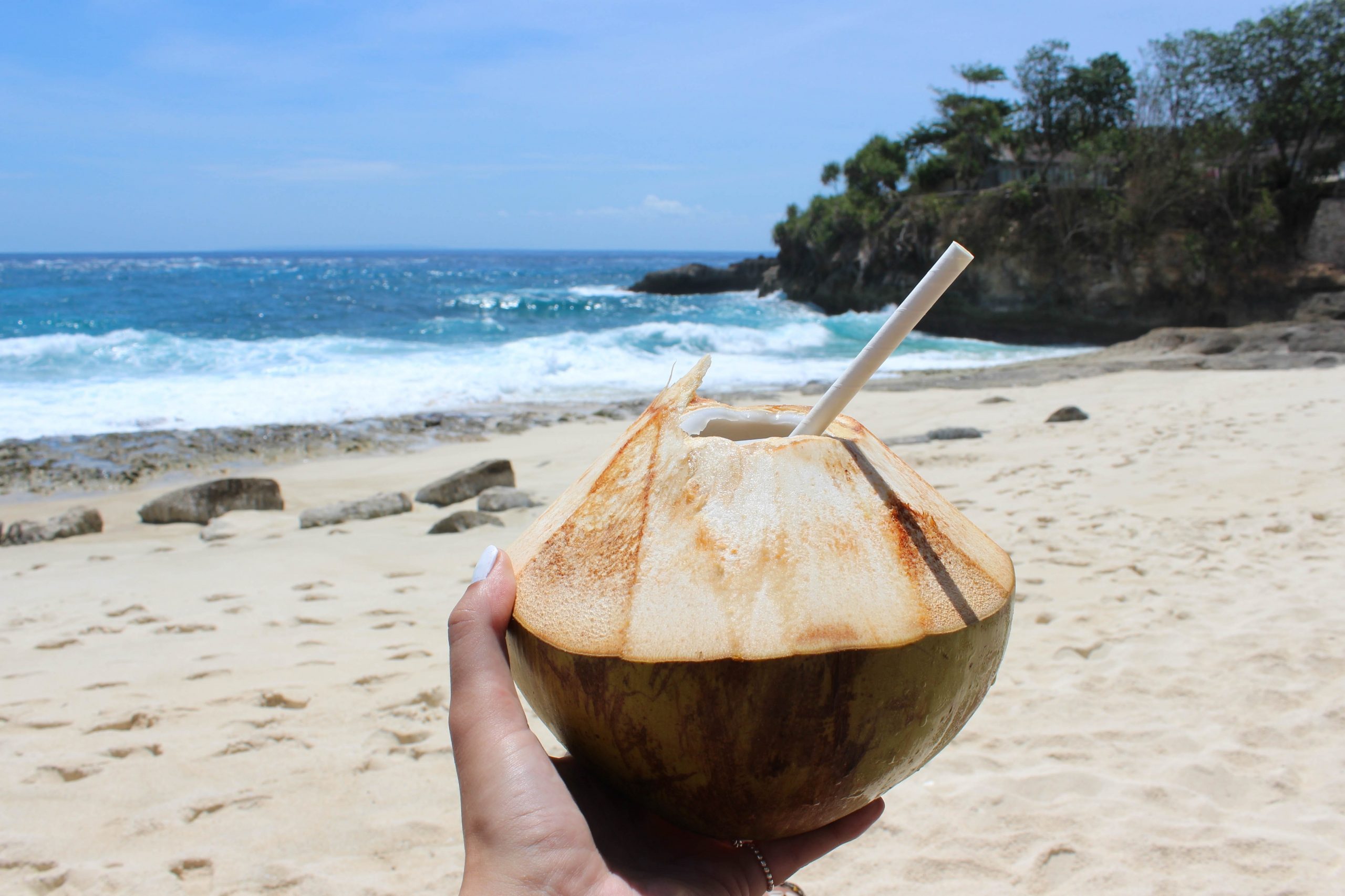 10 Amazing products made from coconut for export - COCO HITECH