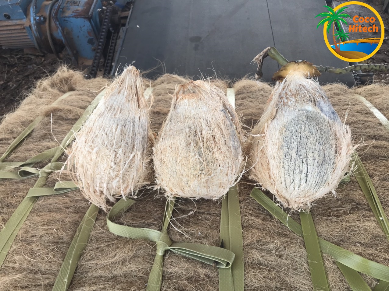 semi husked coconut for coconut oil production 