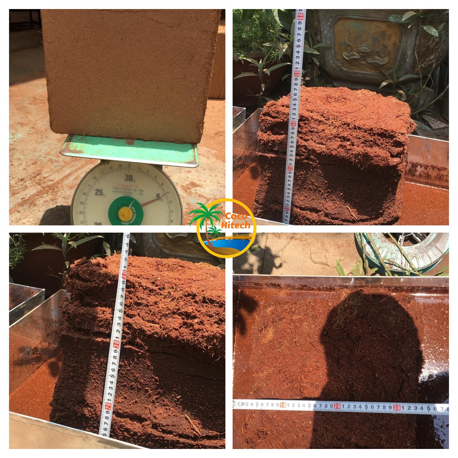 coco peat block