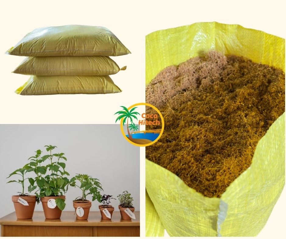 Coco peat for plants