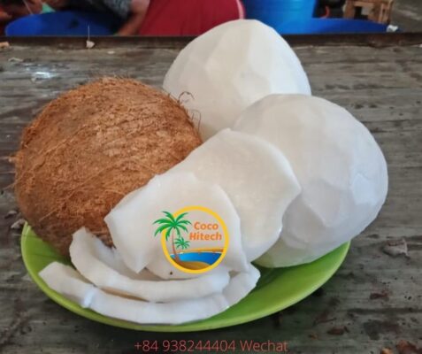 Vietnam coconut