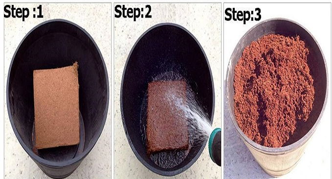 coco peat brick reconstituting