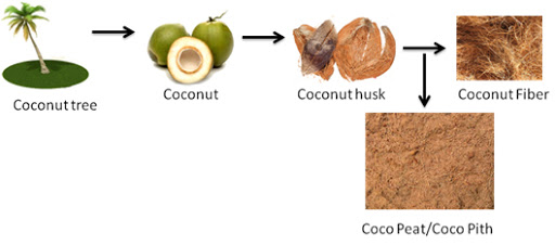 coco peat 