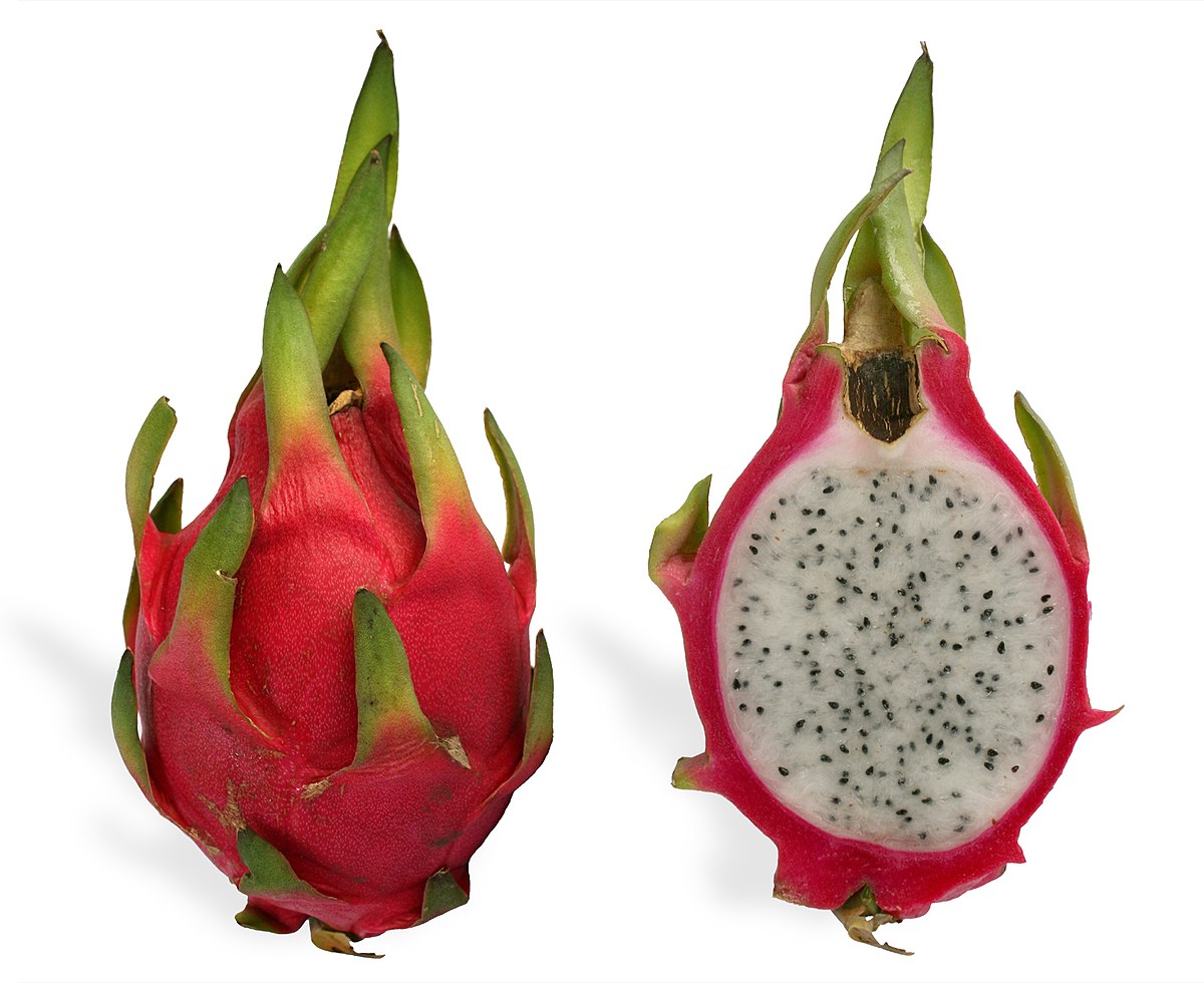 white flesh dragon fruit