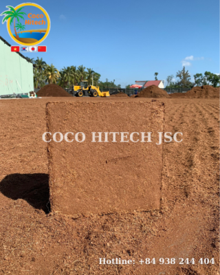 Viet nam coco peat