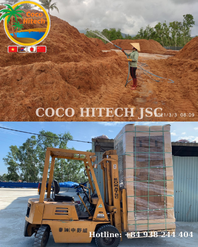 Viet nam coco peat 