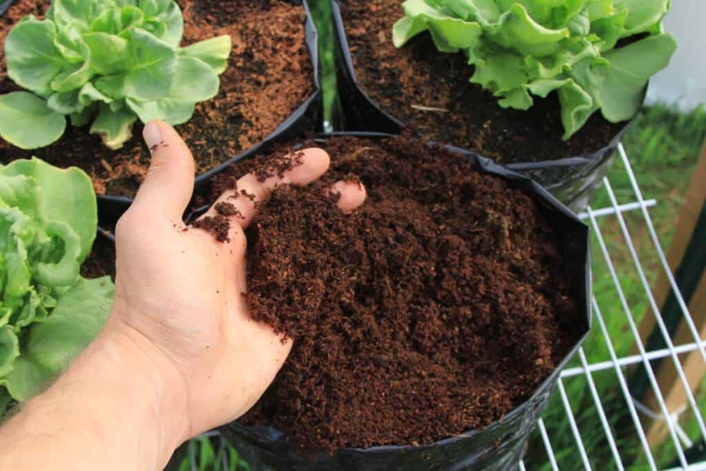 Coco peat using in pot