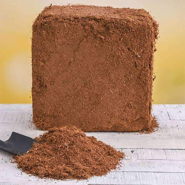 coco peat block 5 kg