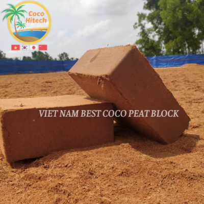 VIET NAM COCO PEAT BLOCK (1)