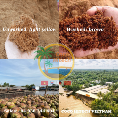 Coco Peat Viet Nam - Coco Peat Coco Coir Global