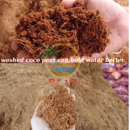 washed and unwashed coco peat