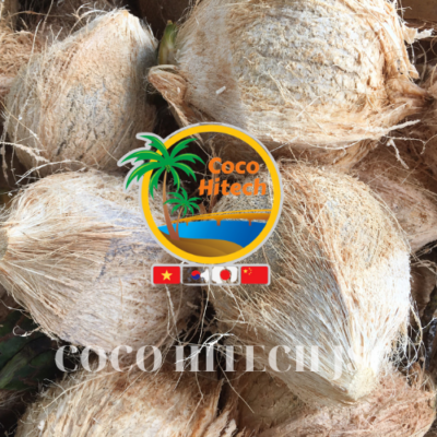 VIETNAM DRY COCONUT