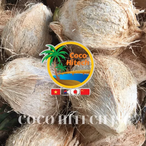 VIETNAM COCONUT