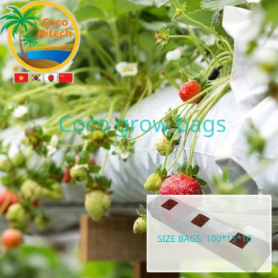 Coco peat grow bag