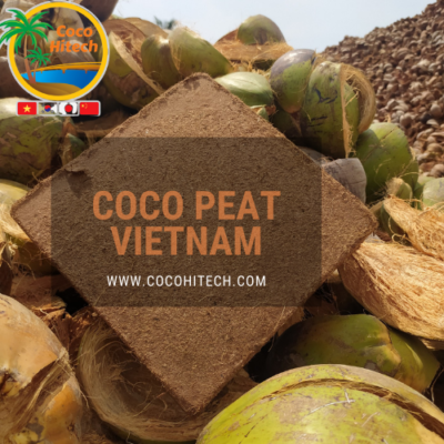 Coco peat block Vietnam