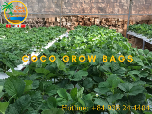 Coco grow bags