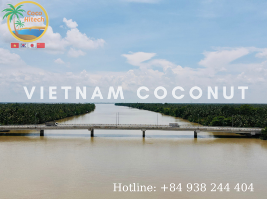 Vietnam coconut 