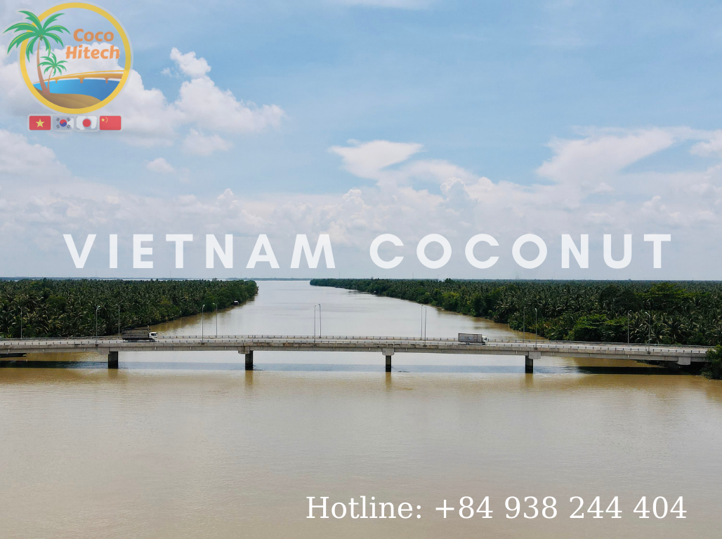Vietnam coconut