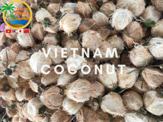 VIETNAM COCONUT 