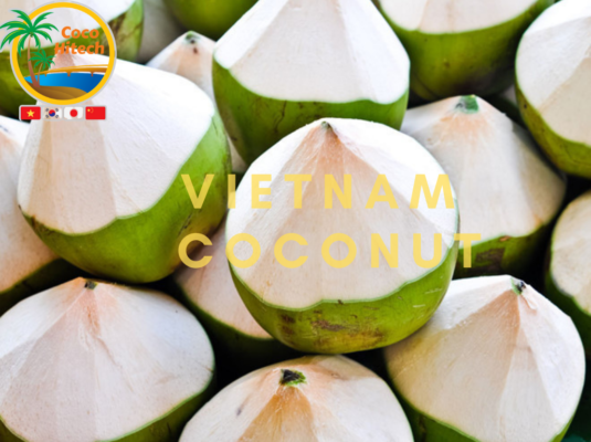 VIETNAM COCONUT