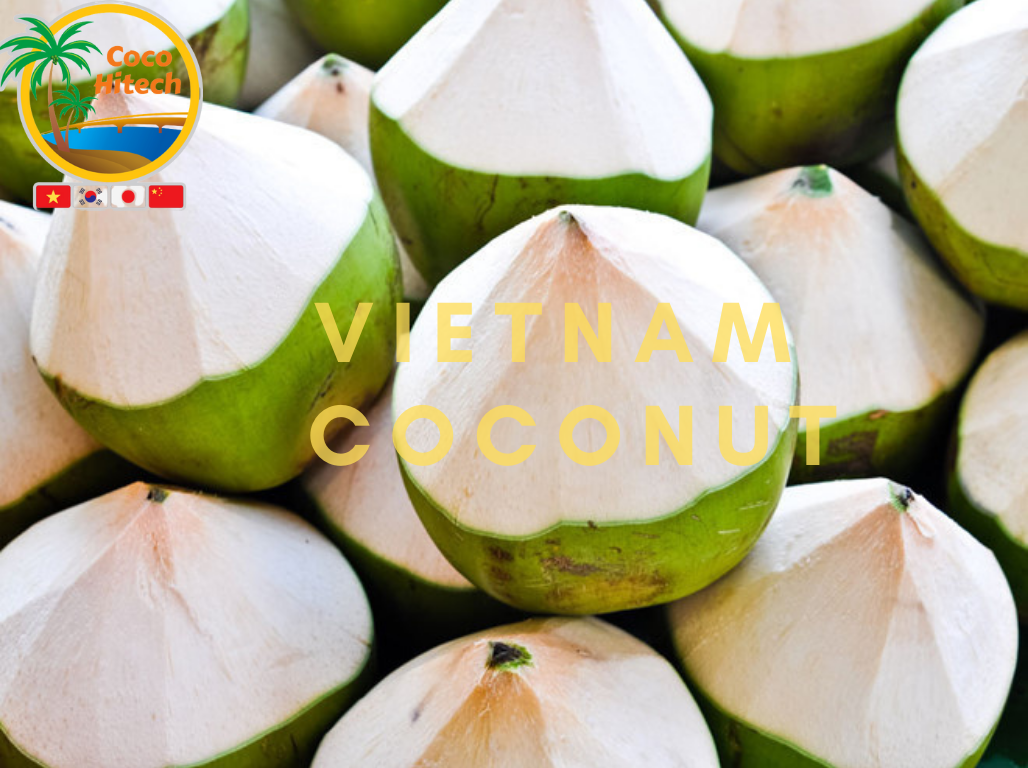 VIETNAM COCONUT COCO HITECH JSC COCO HITECH