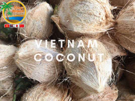 VIETNAM COCONUT 