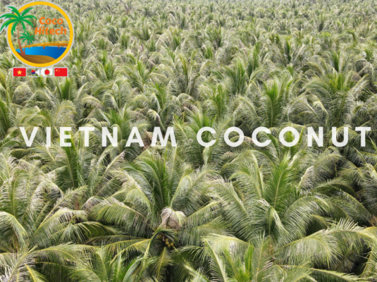 VIETNAM COCONUT 