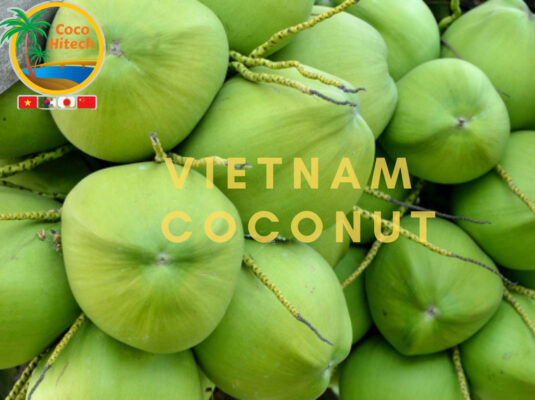 Vietnam coconut 