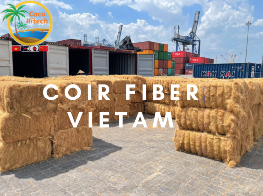 Coir fiber Vietnam