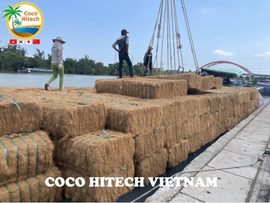 Vietnam coir fiber
