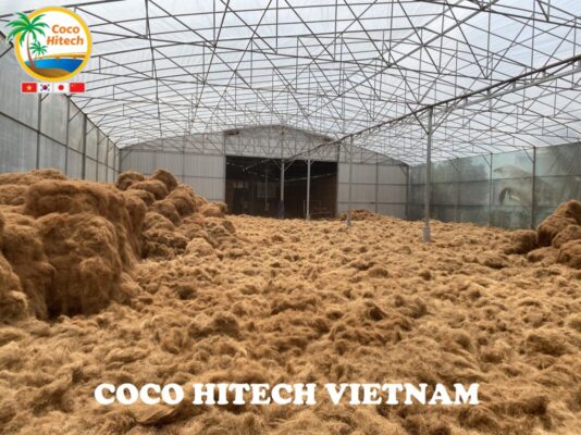 Vietnam coir fiber