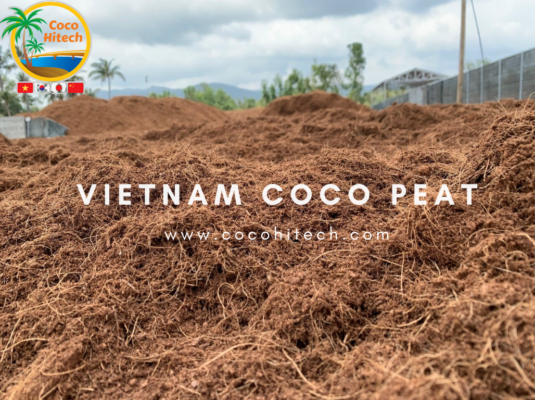 VIETNAM COCO PEAT 