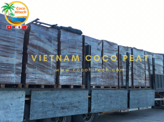 VIETNAM COCO PEAT