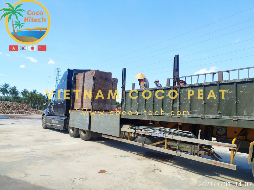 VIETNAM COCO PEAT