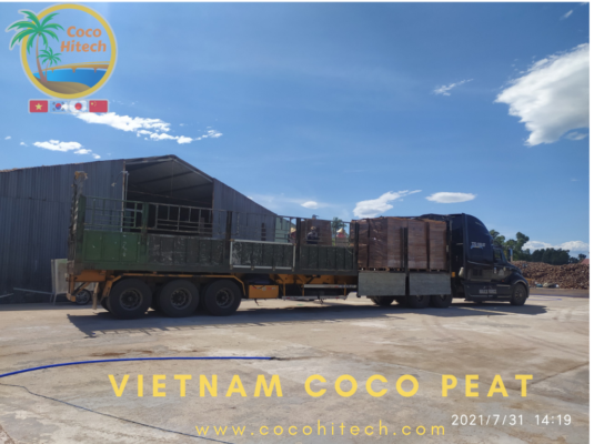 VIETNAM COCO PEAT