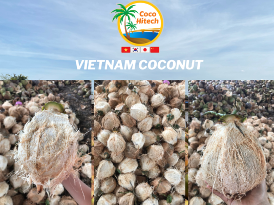 VIETNAM COCONUT