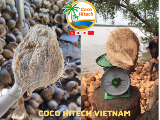 VIETNAM COCONUT